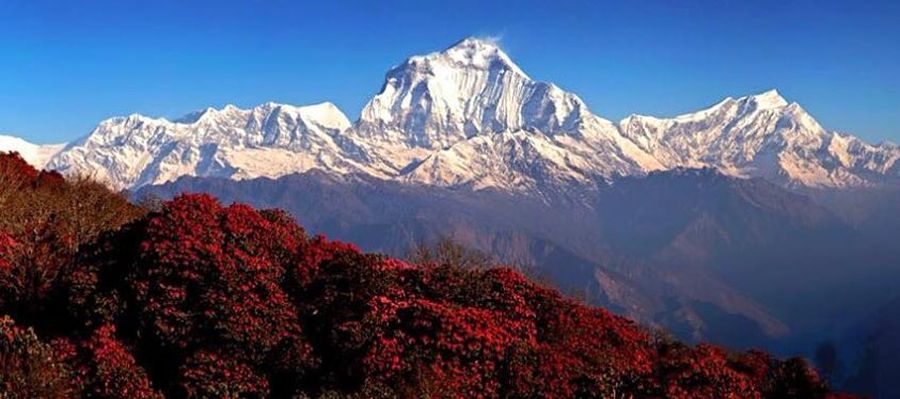 Dhaulagiri I and Tukuche Peak