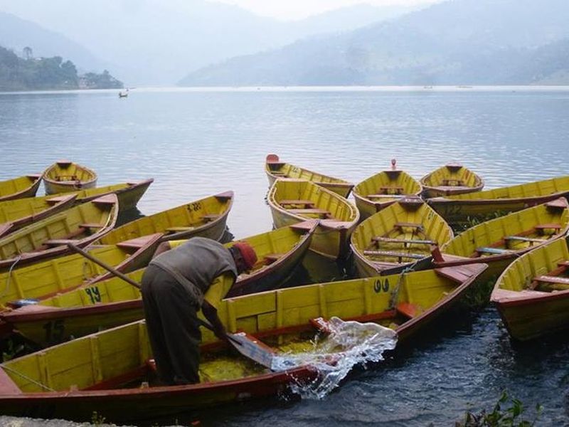 Boats at Phewa Tal in Pokhara