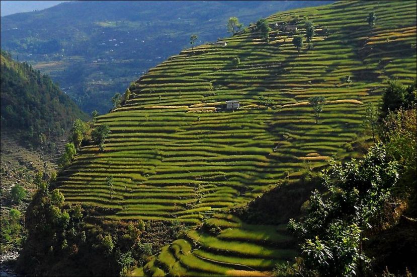 Terraced Hillsides