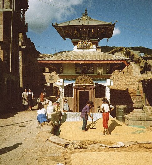 Drying Corn at Banepa