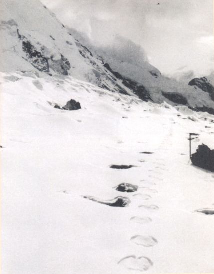 Yeti tracks in Rolwaling Valley