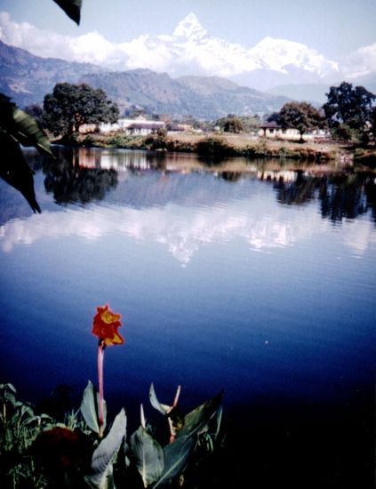 Mount Macchapucchre ( Fishtail Mountain ) from Phewa Tal at Pokhara