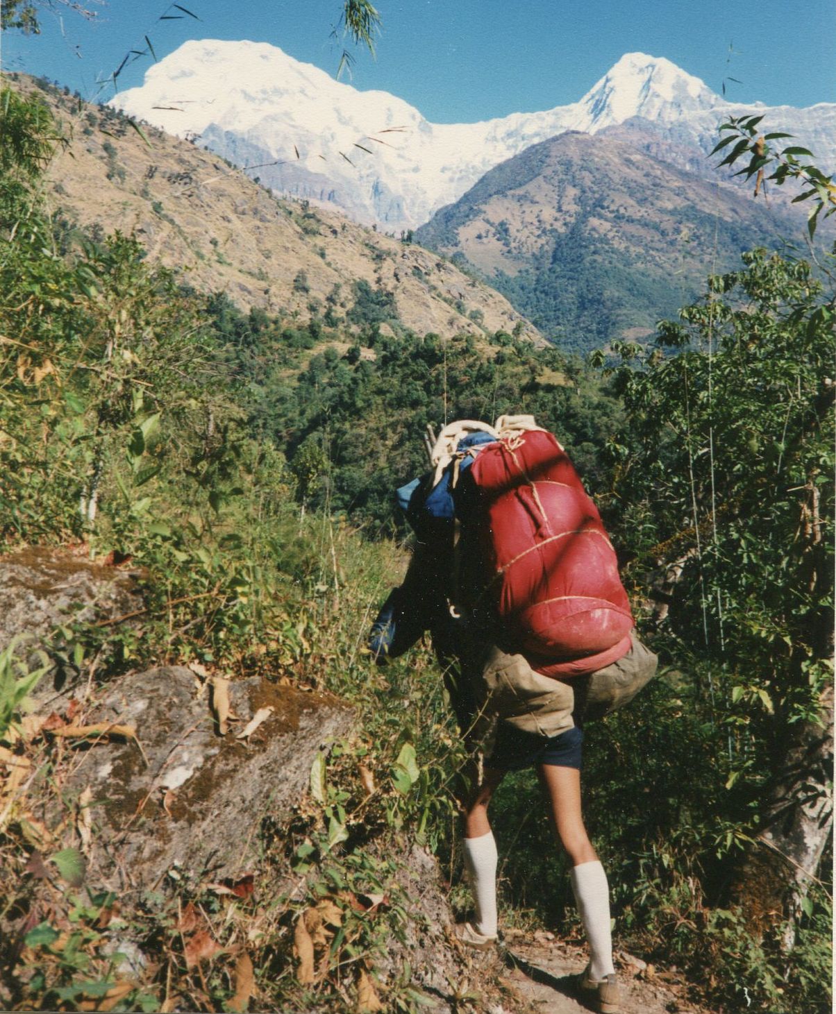 Annapurna South and Hiunchuli on route to Chomrong