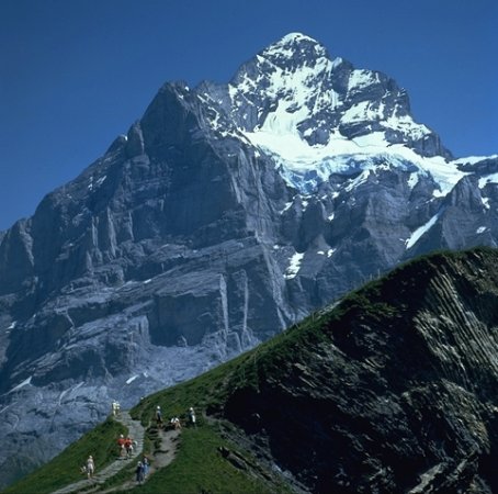 Wetterhorn above Grindelwald