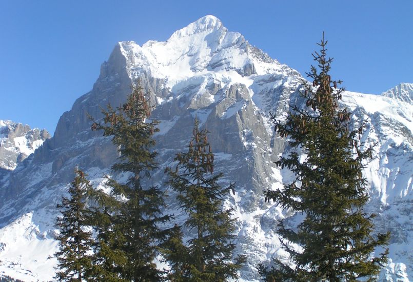 Wetterhorn above Grindelwald