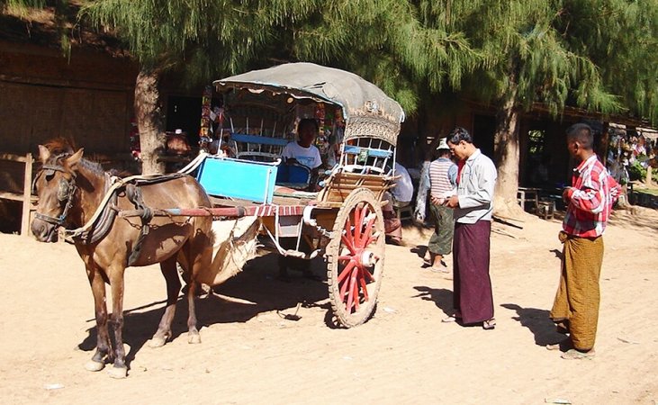 Horse Cart at Inwa near Mandalay in northern Myanmar / Burma