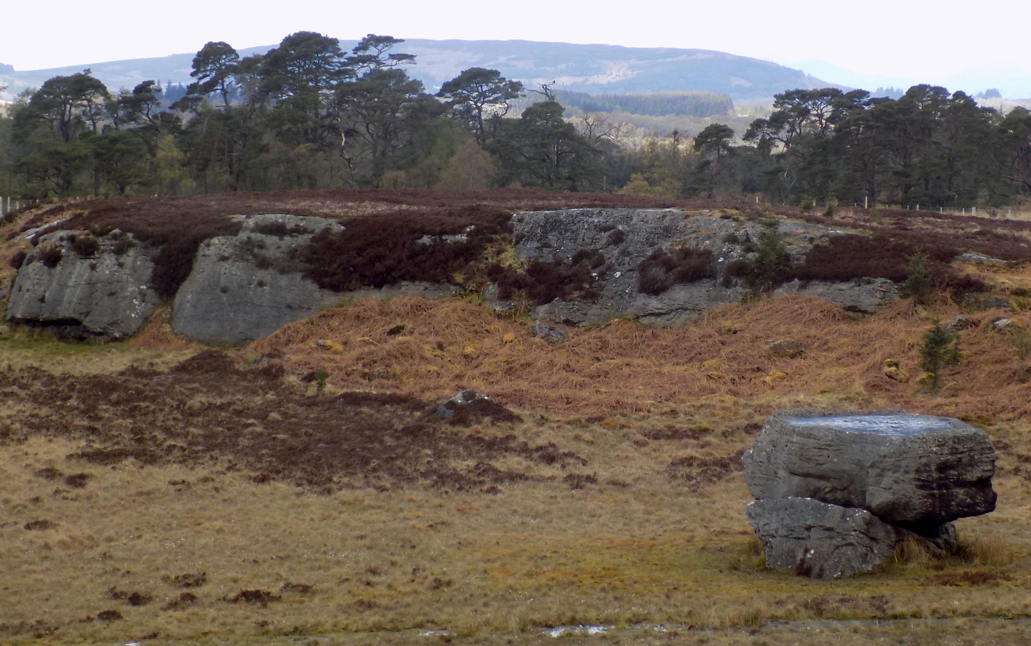 The " Auld Wives Lifts " on Craigmaddie Moor