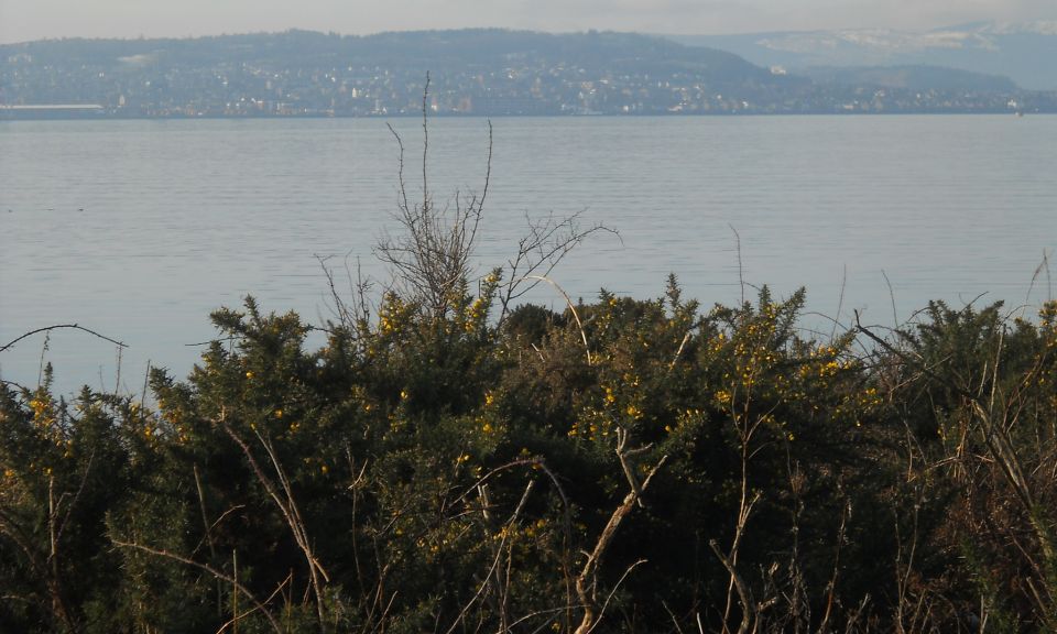 Greenock and Gourock across the Firth of Clyde from Ardmore Peninsula