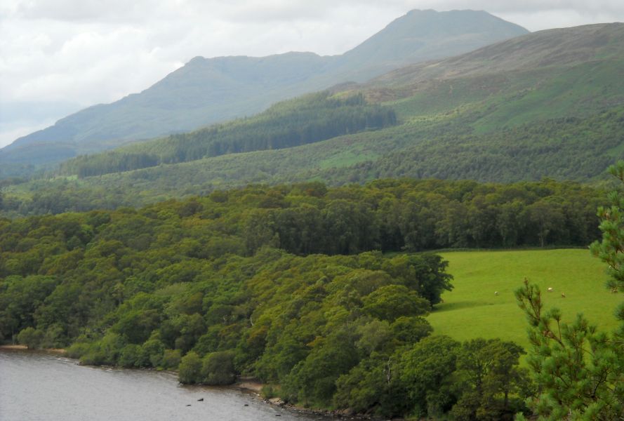 Ben Lomond from Craigie Fort