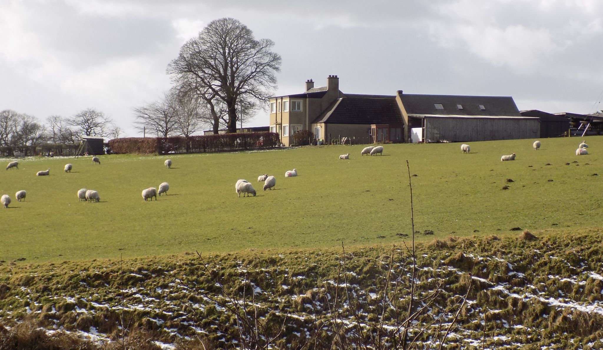 Auchinrivoch Farm at High Banton