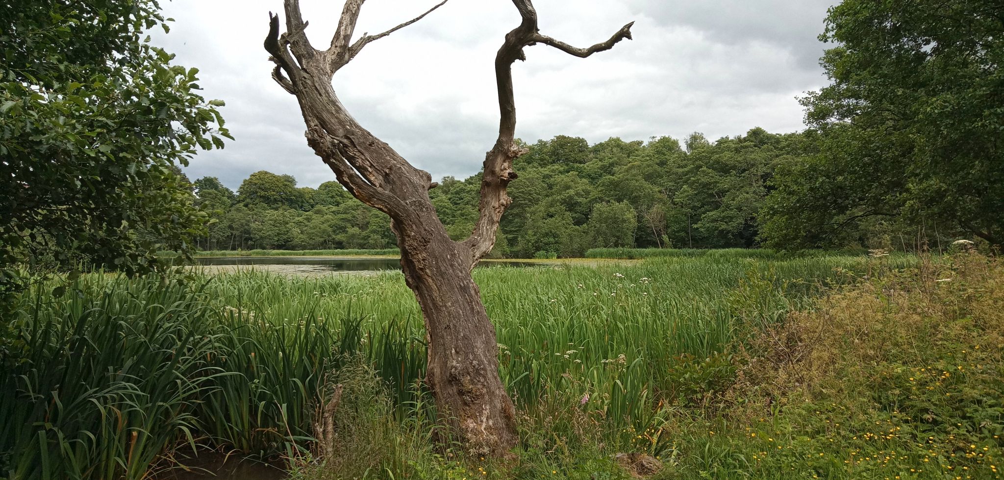 Kilmardinny Loch