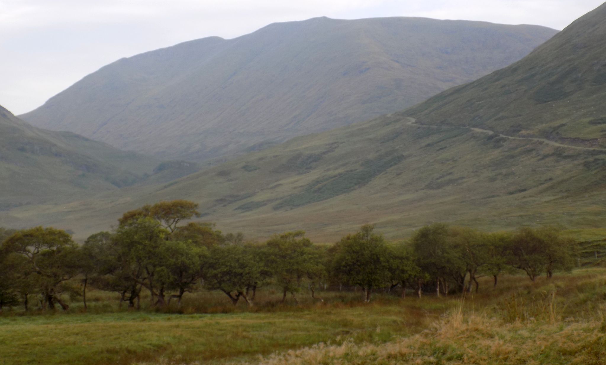 Beinn a'Chochuill above Allt Mhoille