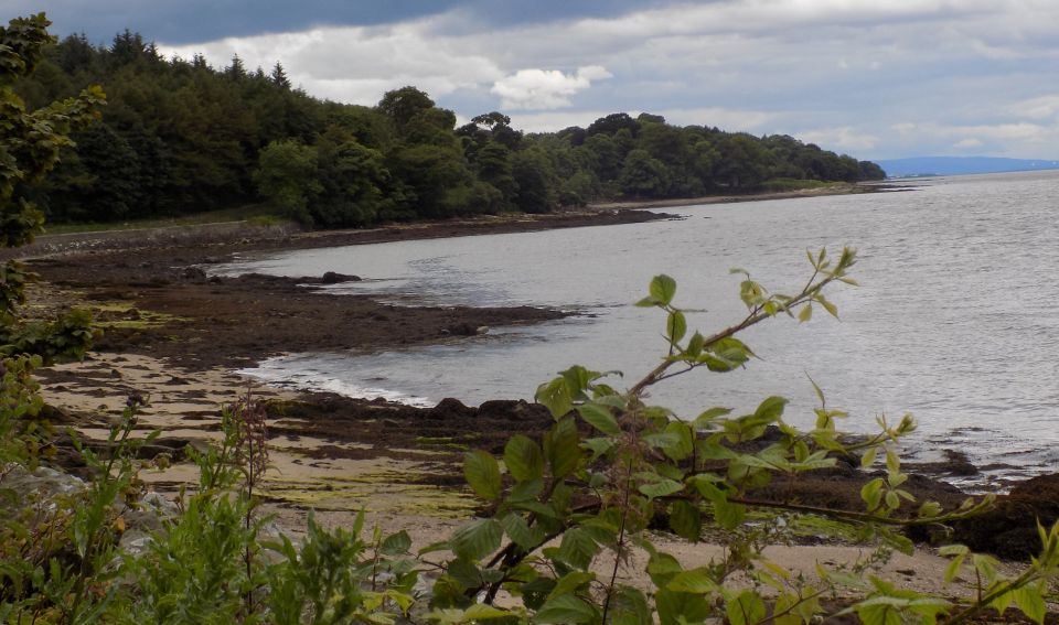 Shore of Firth of Forth