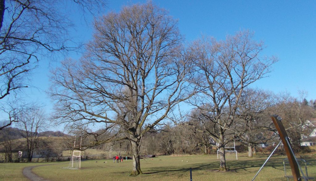 Playing Field at Blanefield