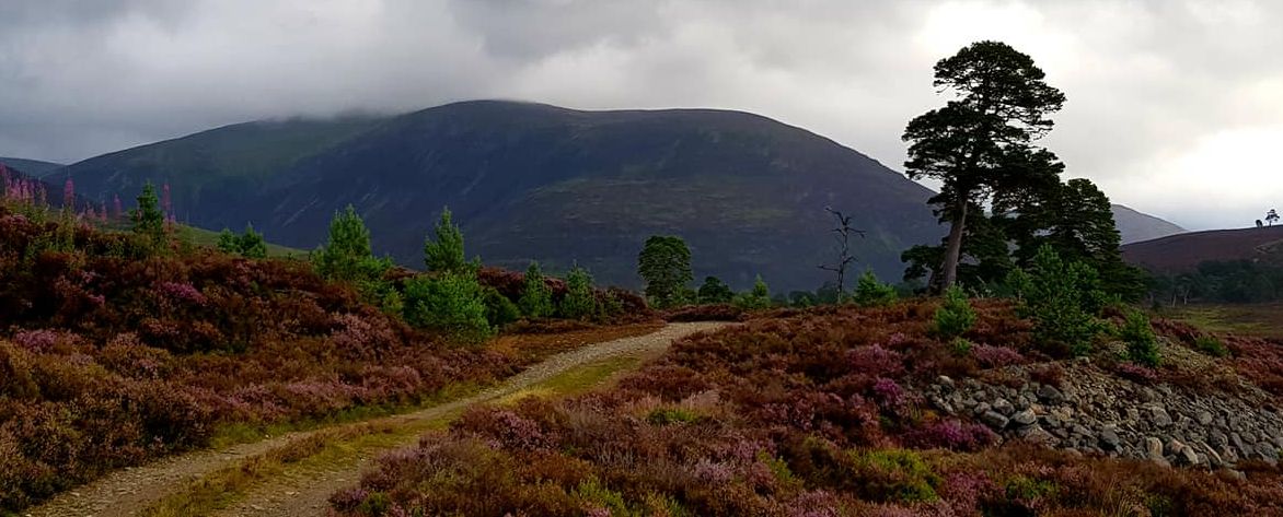 Approach to Beinn a Bhuird