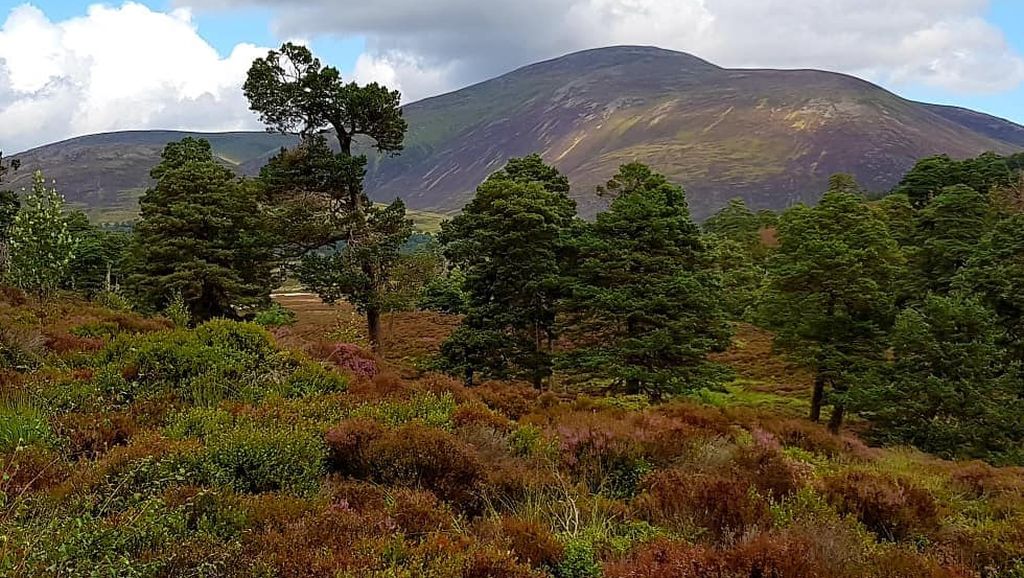 Approach to Beinn a Bhuird