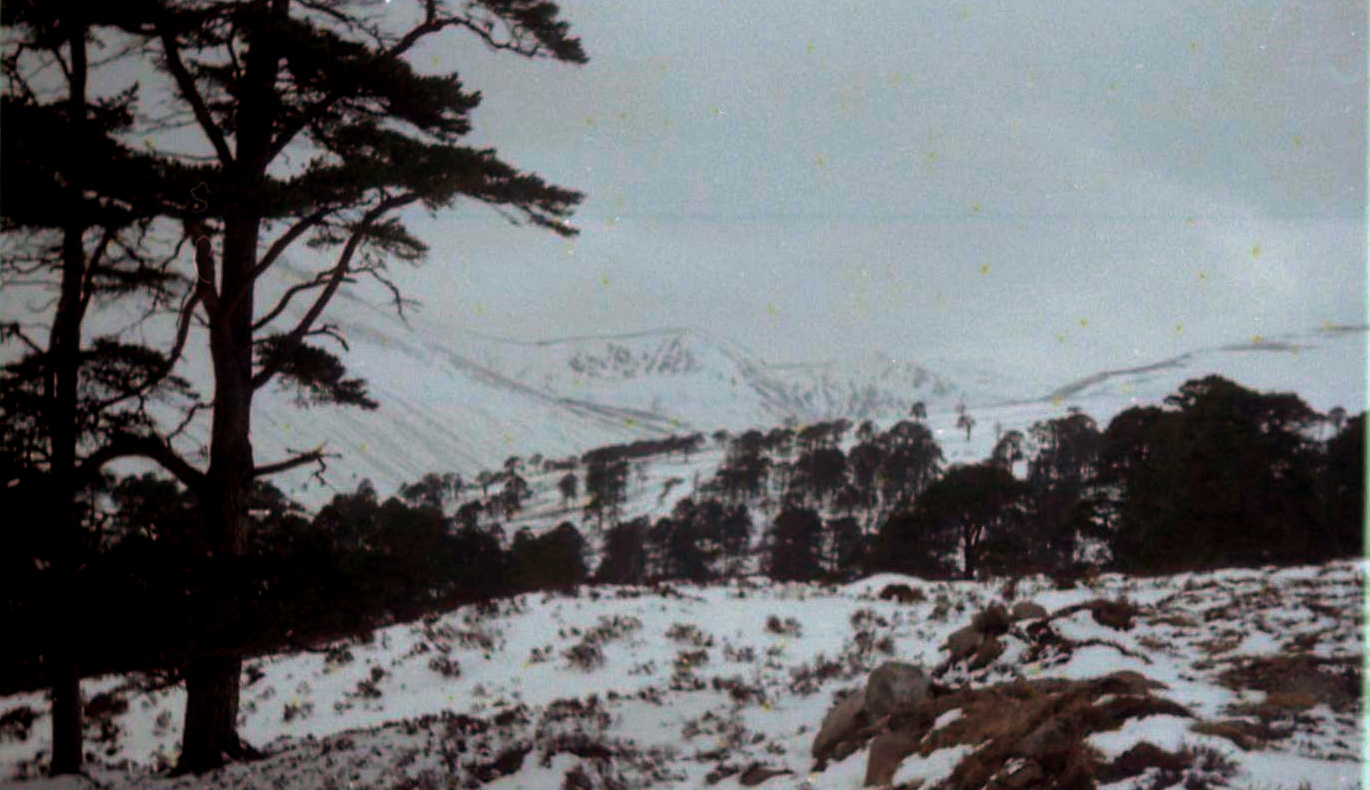 Glen Derry on route to Beinn Bhreac