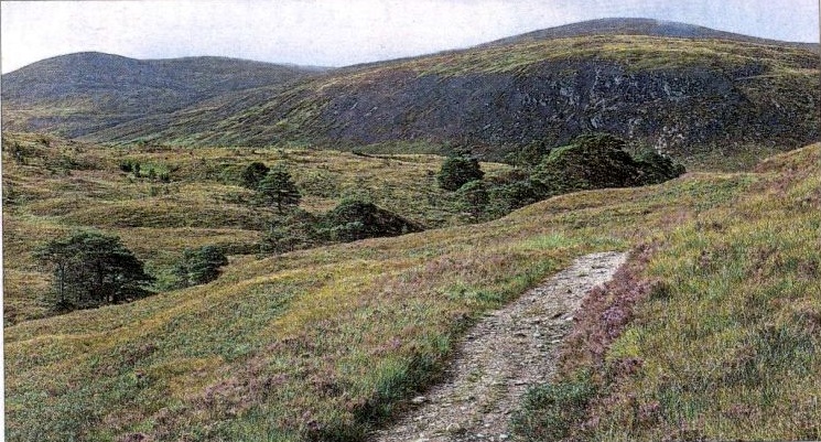 Tom a' Choinnich and Toll Creagach in Glen Affric