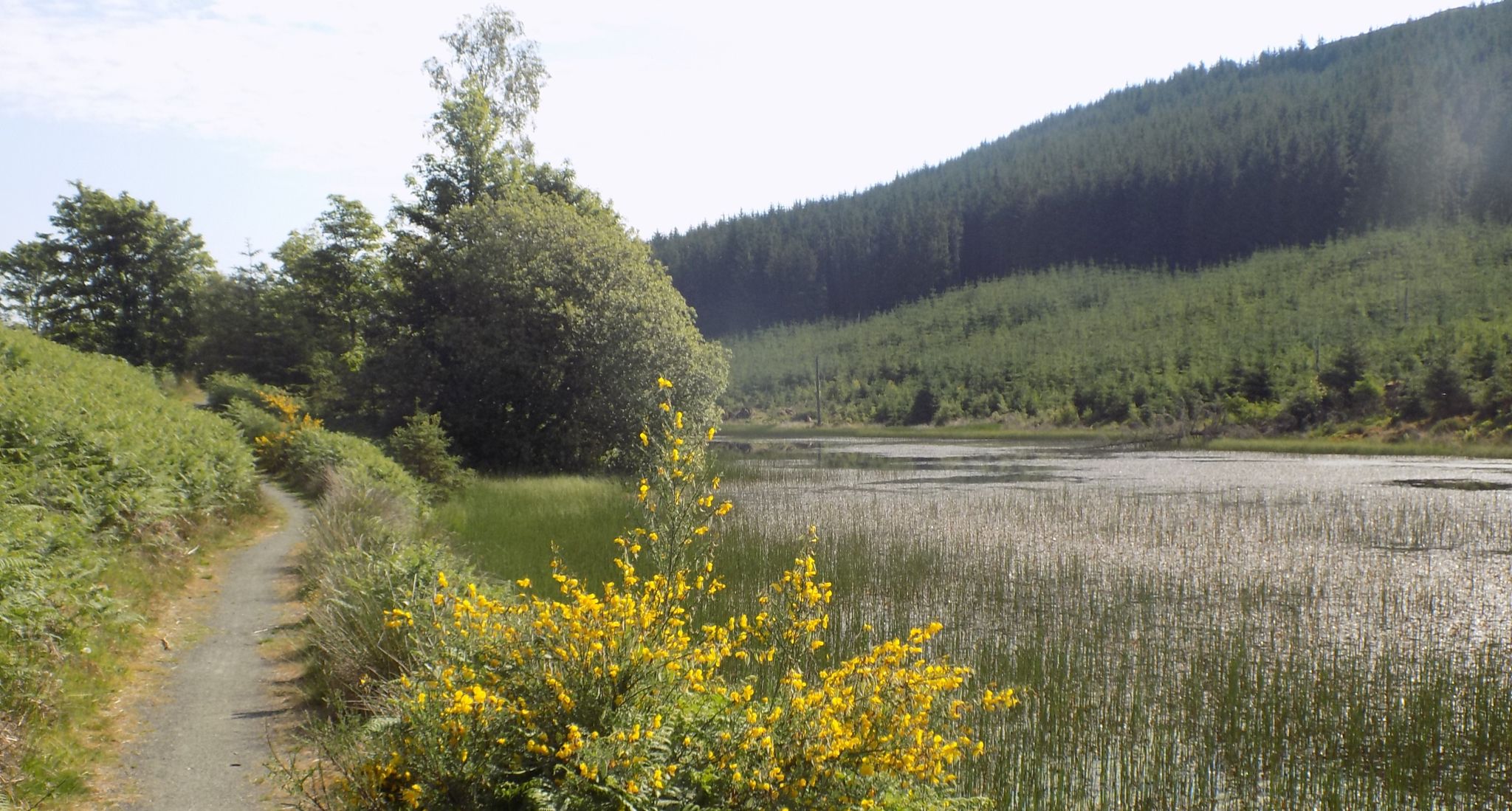 Lochan Allt a'Chip Dhuibh on the Rob Roy Way