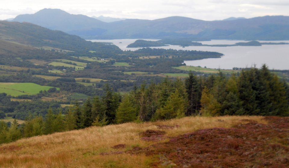 Ben Lomond and Loch Lomond from Ben Bowie