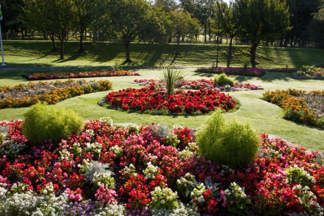 Flower Beds in Dalmuir Park