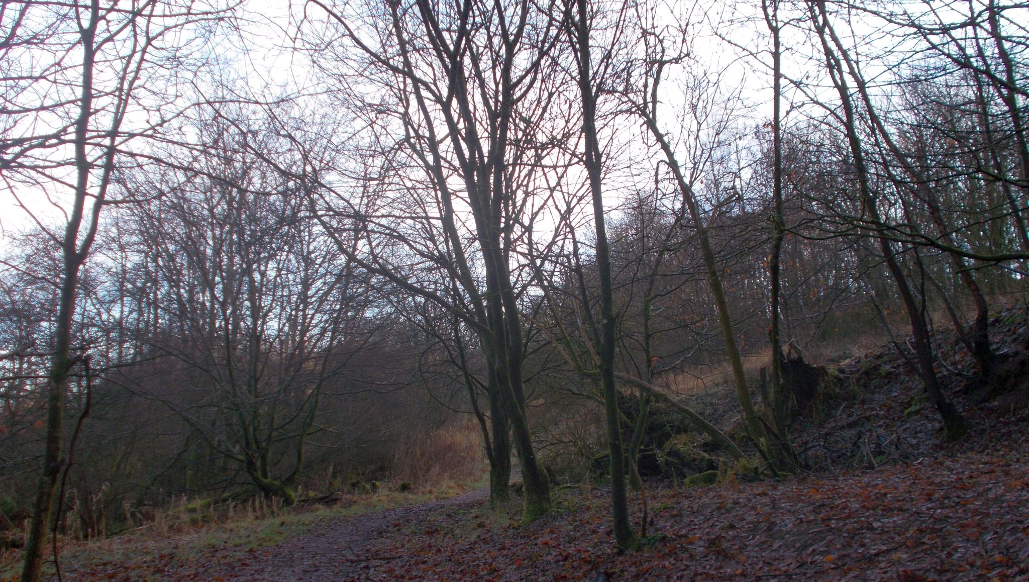 Garscadden Burn Park trail