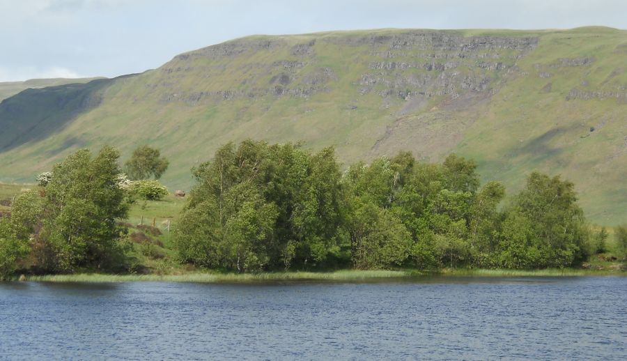 Dumbrock Loch beneath the Campsie Fells