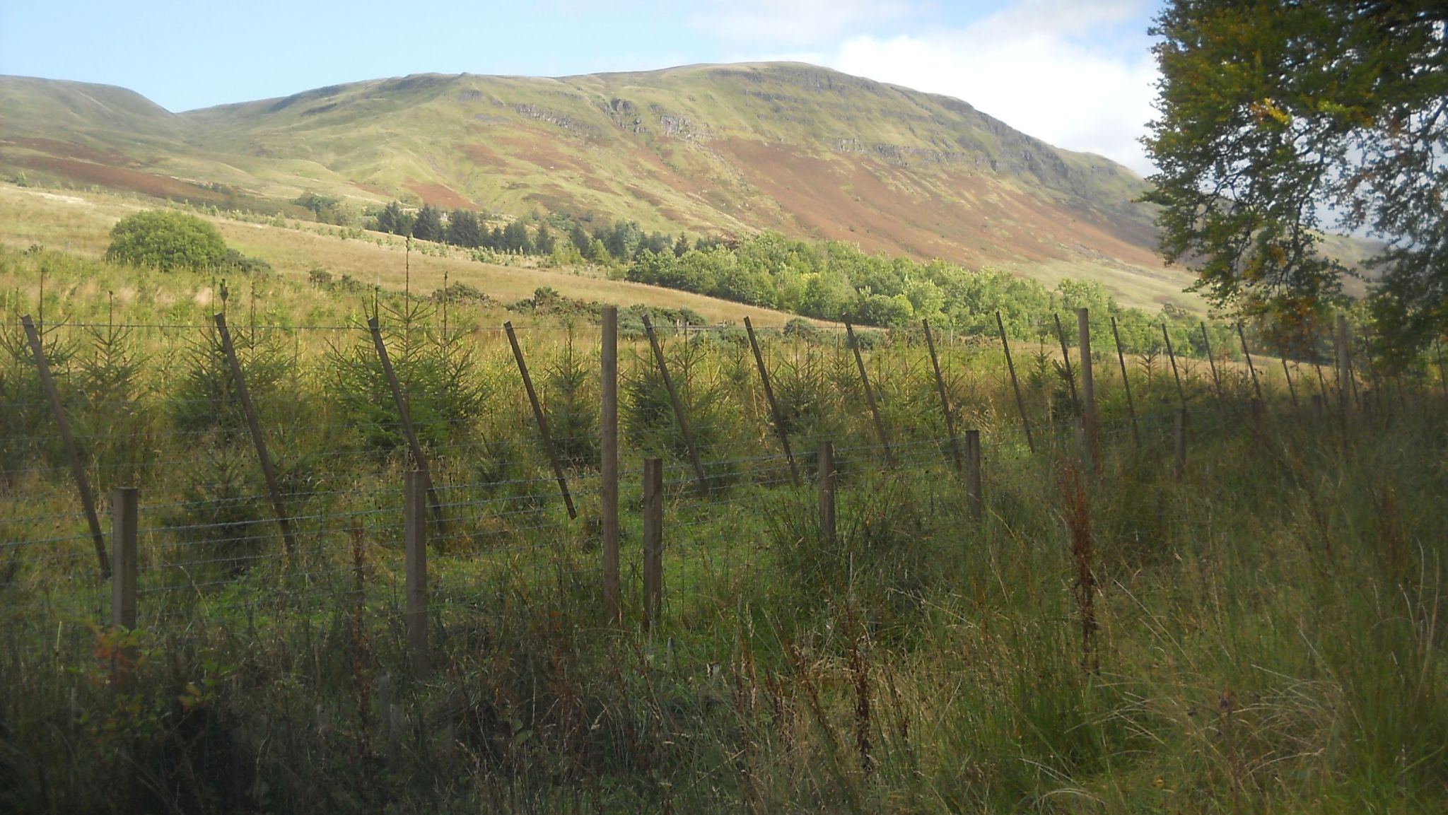 Escarpment of the Campsie Fells