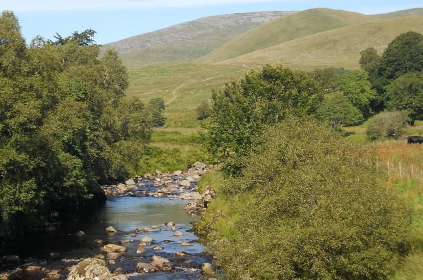 Cairnsmore of Carsphairn ( 797m, 2,615ft ) from Water of Deugh