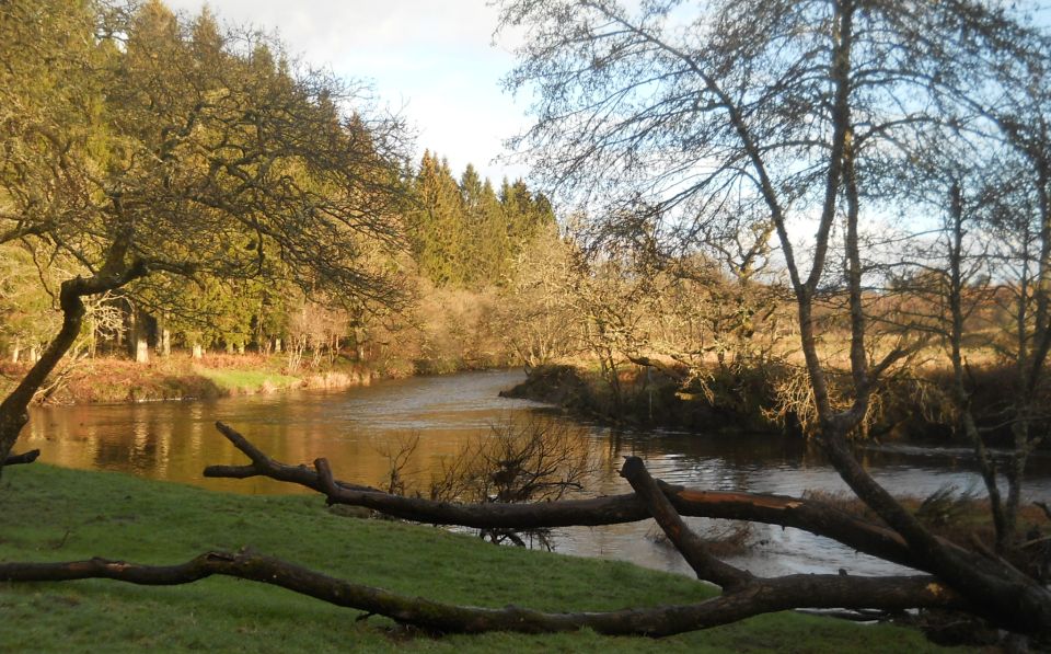 River Forth