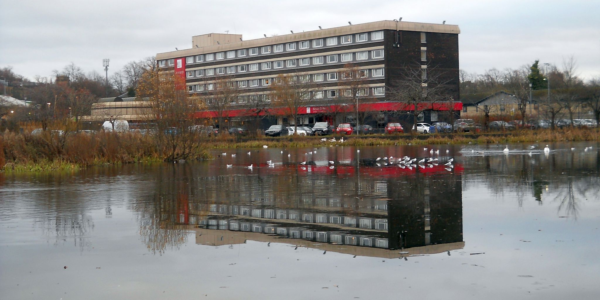 The Pond Hotel at Bingham's