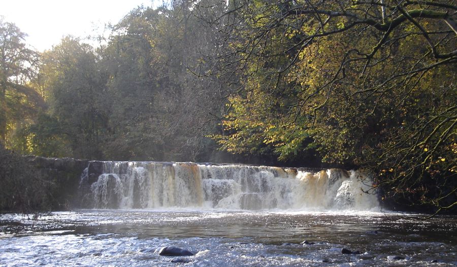 Falls on the White Cart River at Linn Park