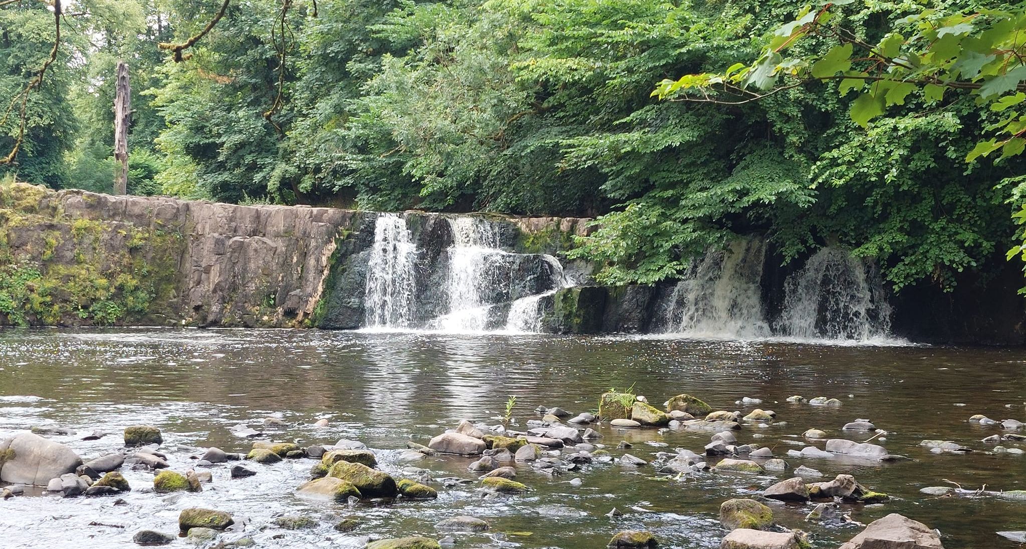 Falls on the White Cart River at Linn Park