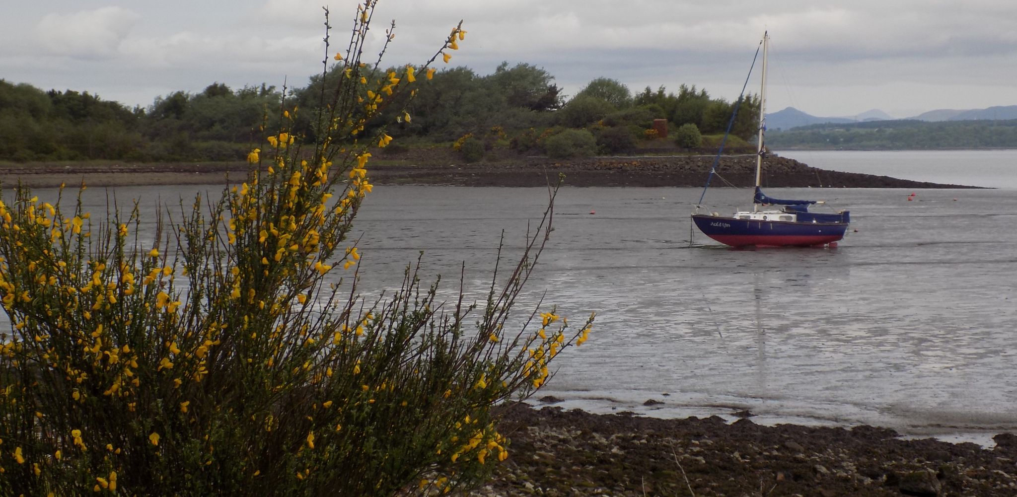 Shoreline on Firth of Forth between Boness and Blackness