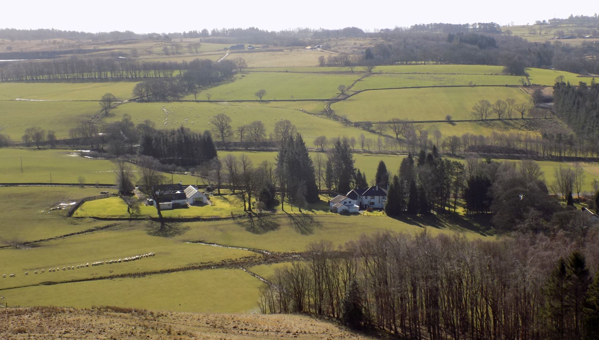 On ascent to the escarpment of the Campsie Fells