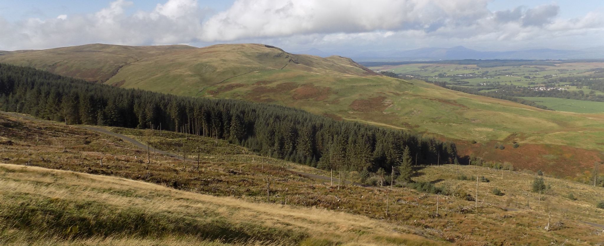 Northern Face of the Campsie Fells above Gonachan Glen from Dungoil