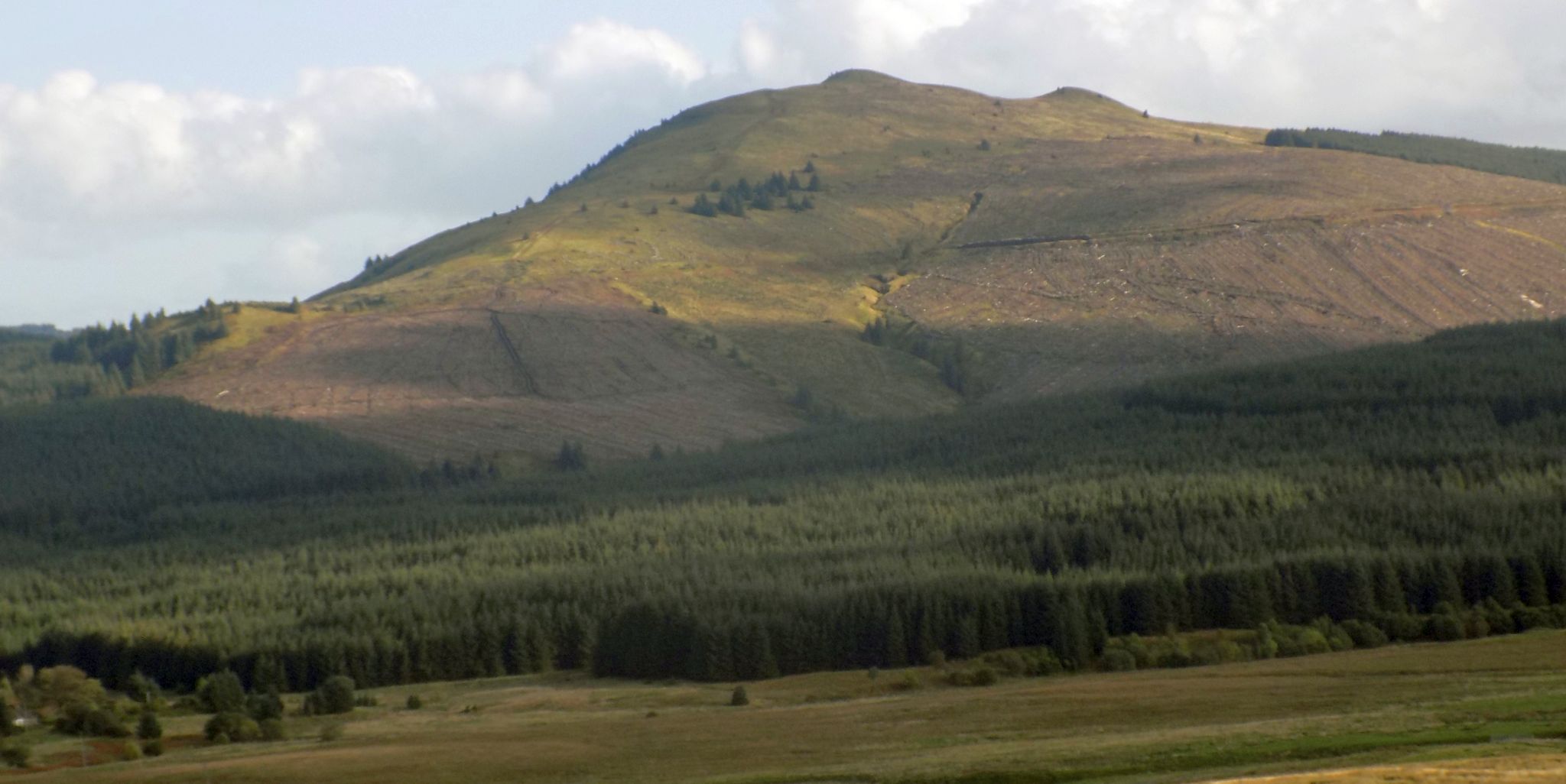 Meikle Bin from the Crow Road over the Campsie Fells