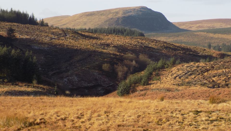 Thief's Hill in the Kilpatrick Hills