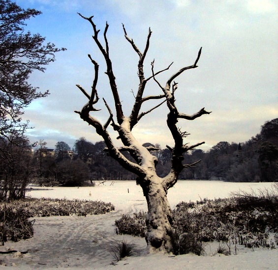 Winter snow scene at Kilmardinny Loch in Bearsden