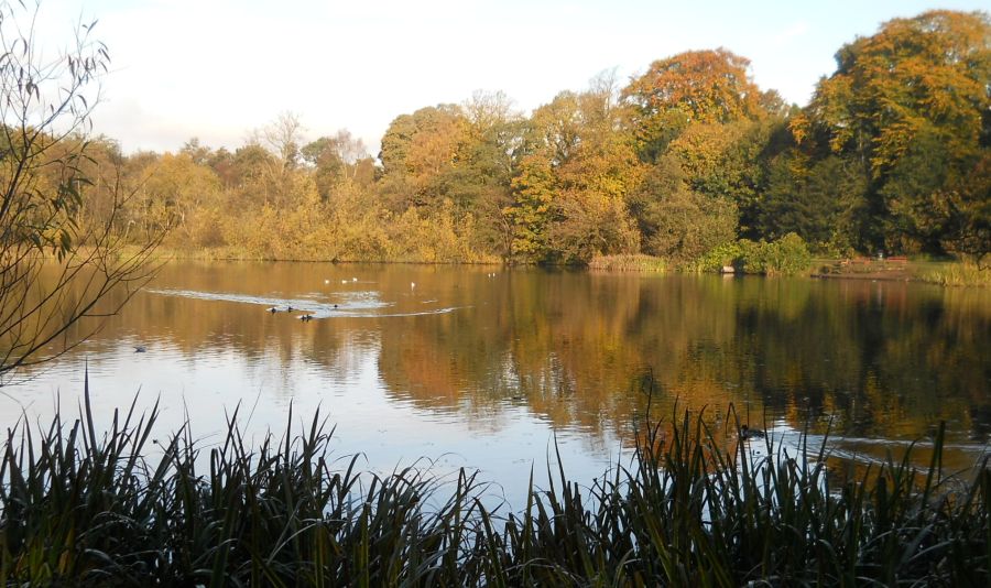 Kilmardinny Loch in Bearsden