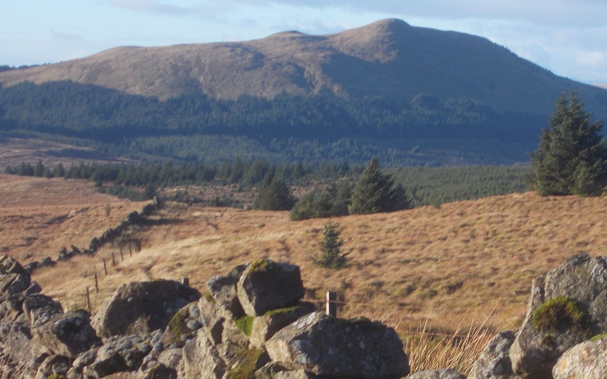 Meikle Bin from Garrel Hill