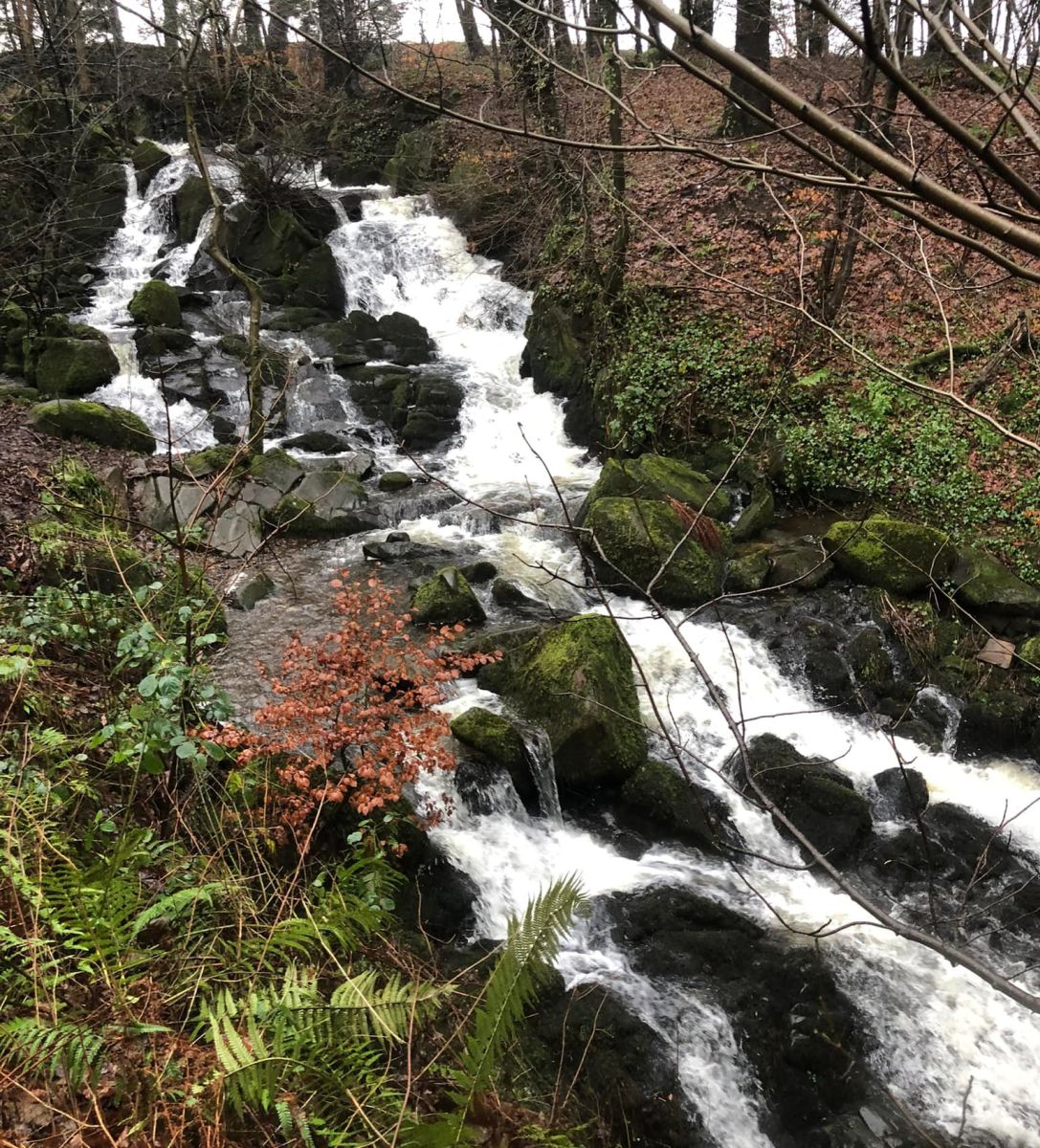 Waterfalls in the Glen