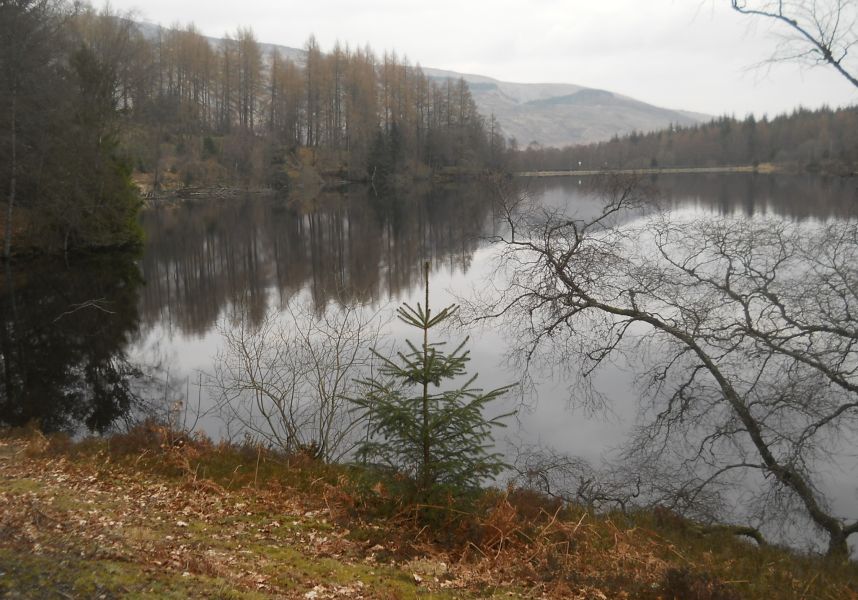 Head of Loch Drunkie