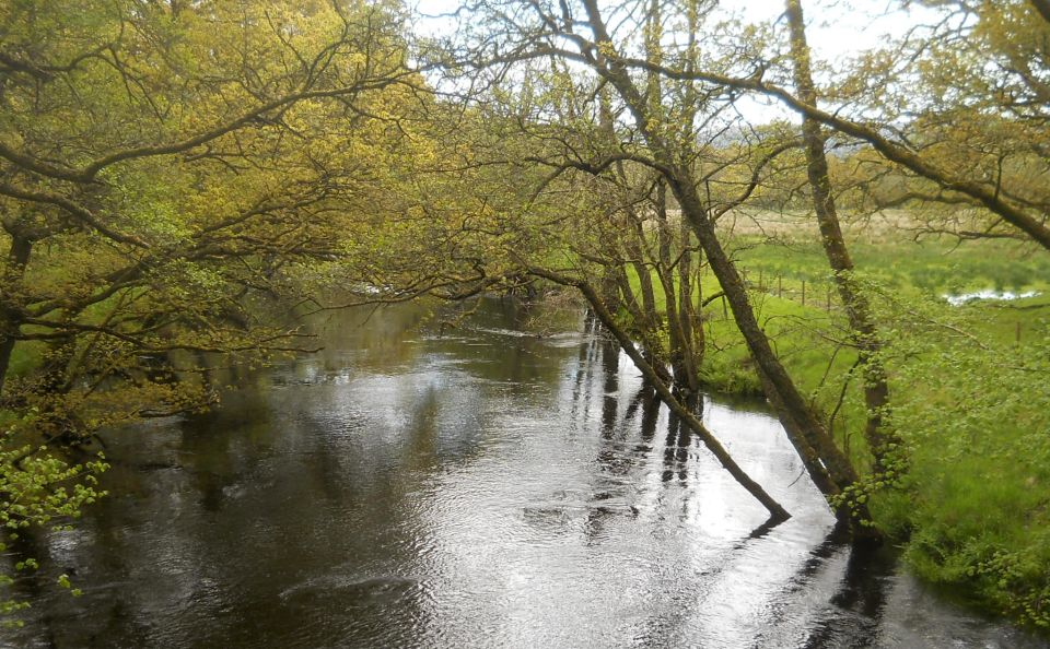 Black Water at Brig O'Turk