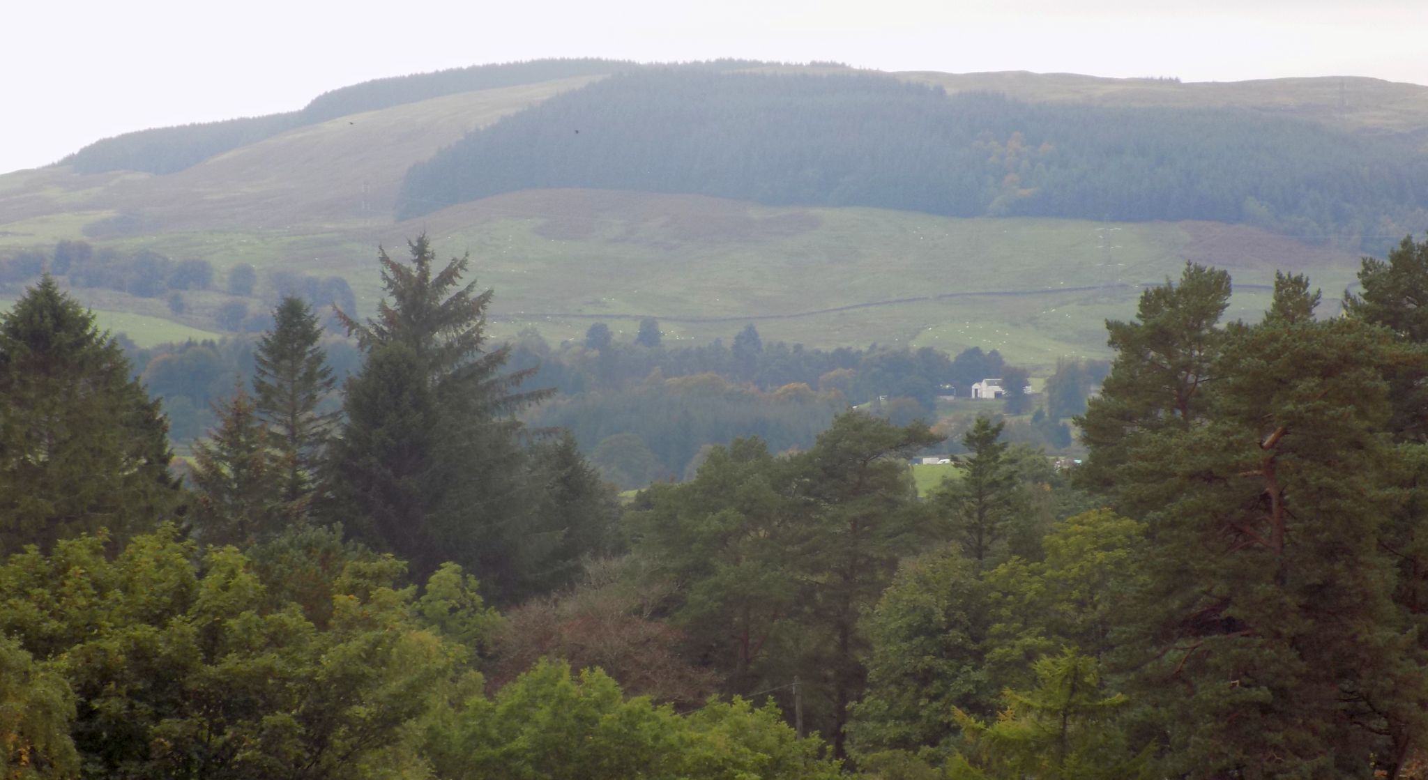 Kilpatrick Hills from Mugdock Reservoir