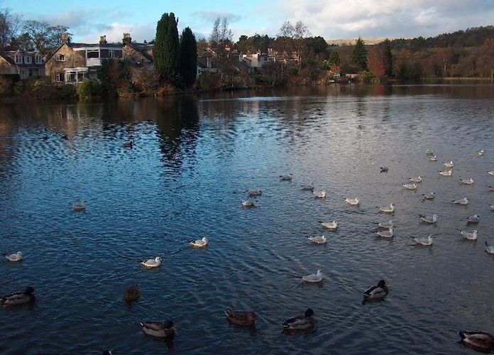 Tannoch Loch beside Mugdock Reservoir