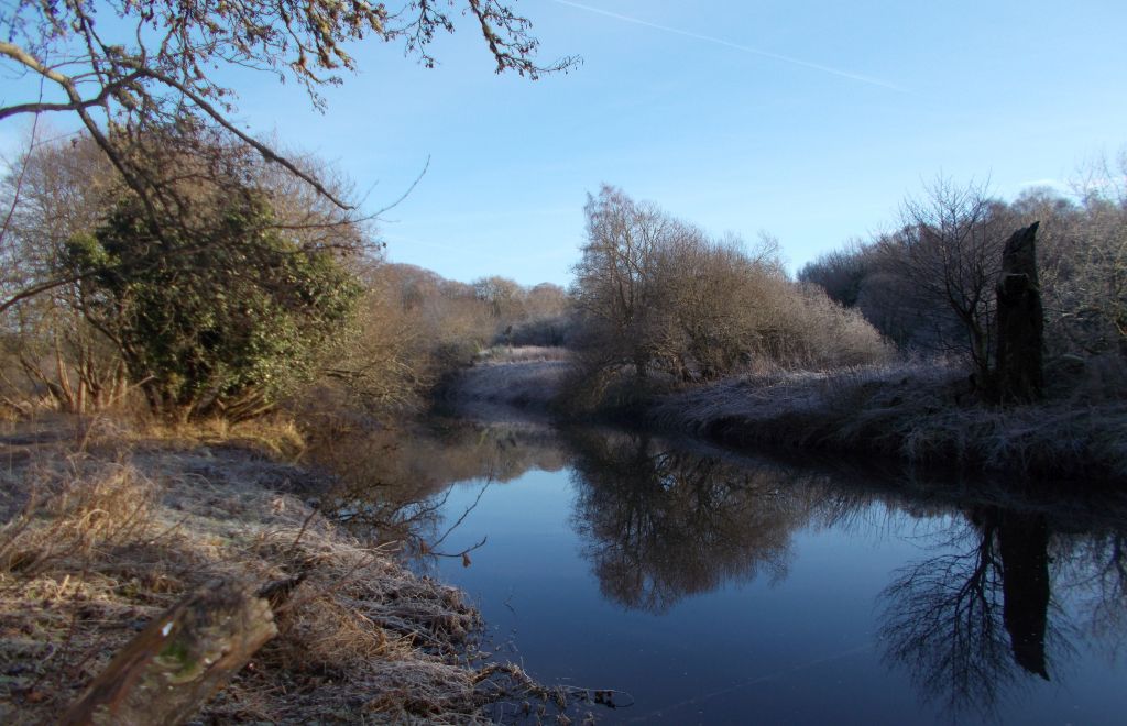 South Calder Water in Strathclyde Country Park