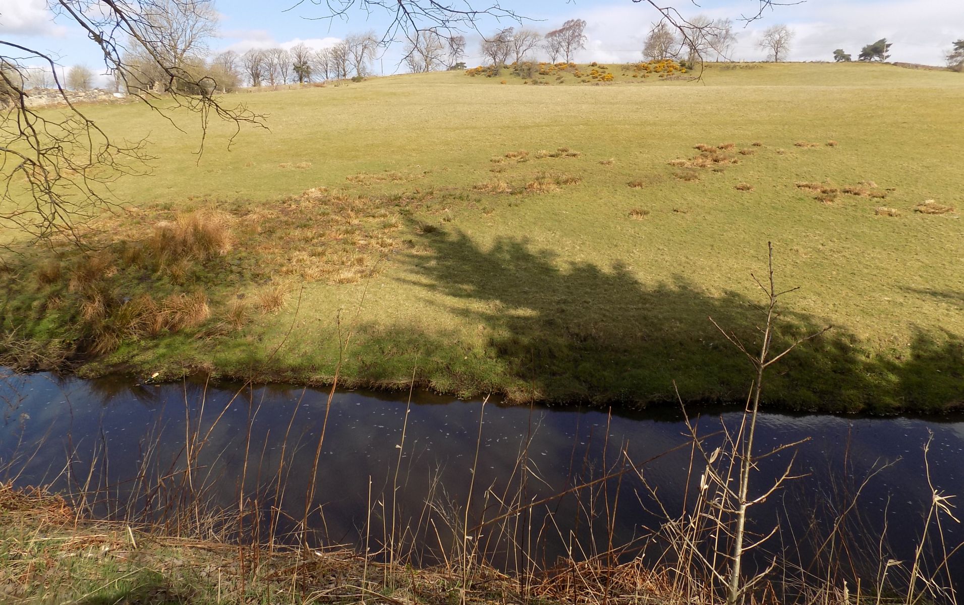 Bothlin Burn beside the Strathkelvin Railway Path