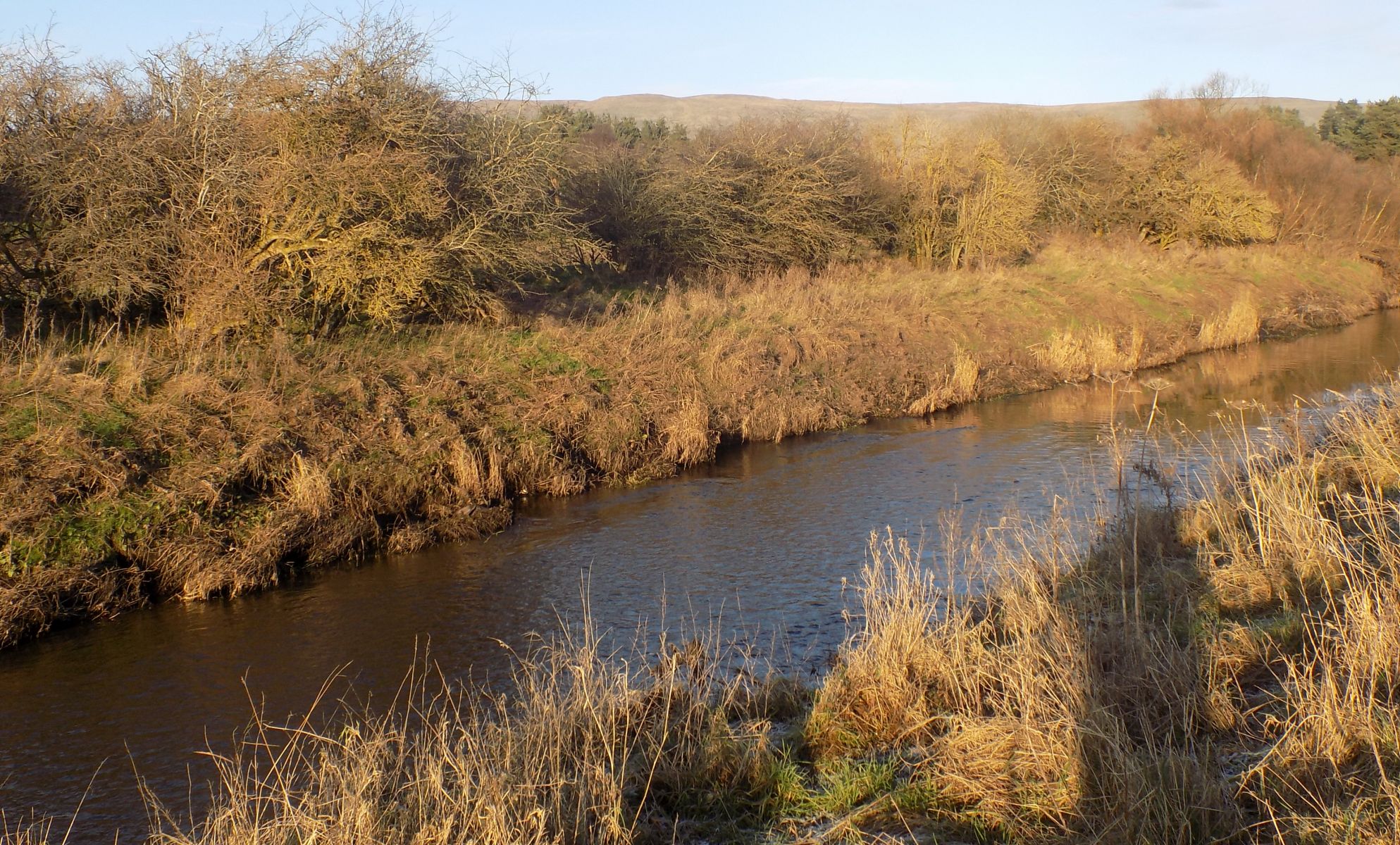 Kelvin River from south bank