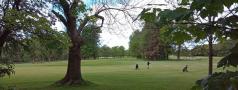001IMG_001_BURST20250504115608.jpg